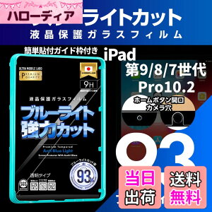 �y���������z�y�u���[���C�g93���J�b�g�z�y���K���X�ziPad ��9����p ��8����p ��7����p Pro10.2�p �u���[���C�g�J�b�g �t���ی�t�B���� �K���X�t�B���� �ی�t�B���� �A�C�p�b�h