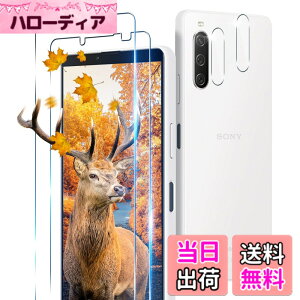 �y���������z�y2+2���Z�b�g�z �p Xperia 10 IV SO-52C SOG07 �K���X�t�B���� 2�� �G�N�X�y���A10 IV XQ-CC44 �t�B���� + 2�� �J�����ی�t�B�����Z�b �y ���{���Ɏq�� 9H���x �z �Ή� Xperia 10 IV �����K���X 