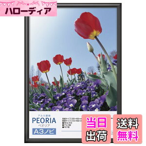�y���������z�n�N�o HAKUBA �A���~�z�� �y�I���A A3�m�r�T�C�Y �u���b�N �|�X�^�[�t���[�� �t�H�g�t���[�� �O��PET�� �݂�R�t��FAPE-BKA3N