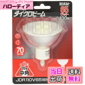 �y���������z�p�i�\�j�b�N �n���Q�������v �_�C�N���r�[�� 110V 65W�` E11���� ���p JDR110V65WKM7E11X