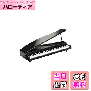 �y���������zKORG MICROPIANO �}�C�N���s�A�m �~�j����61�� �u���b�N 61�Ȃ̃f���\���O���� �������t�\