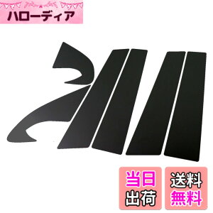 �y���������zBRIGHTZ �f���A���X J10 �����ʃu���b�N���b�L�s���[�p�l���J�o�[ 6PC �o�C�U�[�����p �y PIL-BLA-249 �z 5107