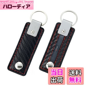 �y���������z�����Y�� EXEA �ԓ��p�i ���U�[�A�[�X�L�[�z���_�[ EF-60 �J�[�{��