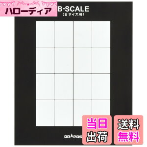 �y���������z�h���p�X B-SCALE B�X�P�[�� �f�b�T���p B��p���� 54012