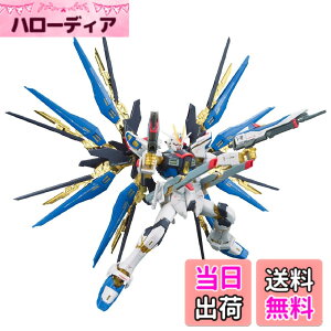 �y���������zRG �@����m�K���_��SEED DESTINY ZGMF-X20A �X�g���C�N�t���[�_���K���_�� 1/144�X�P�[�� �F�����ς݃v�����f��