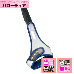 �y���������z�V�}�m(SHIMANO) �p���[�t�B���K�[ GL-041C �I�V�A�V���o�[�z���C�g L