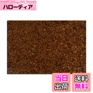 �y���������zMusiclily 435x290mm �M�^�[�s�b�N�K�[�h�� ST TL �s�b�N�K�[�h�f�ރG���L�M�^�[/PB�x�[�X�p�A4P�u�����Y�p�[��