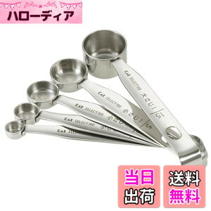 �y���������z�L�� KAI �v�ʃX�v�[�� SELECT100 5�{�g DH3101 �V���o�[