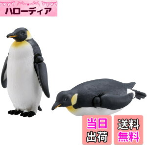 ���i�摜