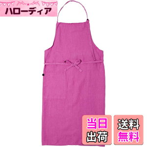 �y���������z��C�ʏ� Linne �G�v���� PU 0118-053