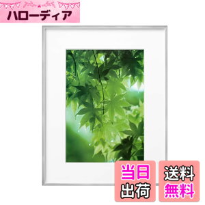 �y���������z�n�N�o HAKUBA �y�� �z�� ZERO�t���[�� G-01 A4 �V���o�[ FZG01-A4SV