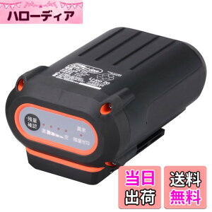 �y���������z�H�i(KOSHIN) �X�}�[�g�V���[�Y �o�b�e���[�p�b�N 36V 2.5Ah PA-334