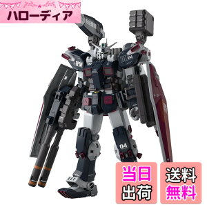 �y���������zMG �@����m�K���_�� �T���_�[�{���g �t���A�[�}�[�E�K���_�� Ver.Ka (GUNDAM THUNDERBOLT��) 1/100�X�P�[�� �F�����ς݃v�����f��