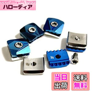 �y���������z�e�[���[���C�h SLDR �h���C�o�[�w�b�h�p �E�F�C�g �������i 5.5g 7g 9g 10g 12g 14g (12)