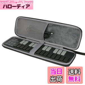 �y���������z�yco2CREA ��p���[�P�[�X�zKORG ��� USB MIDI�L�[�{�[�h nanoKEY2 25�� MIDI�R���g���[���[ nanoPAD2 16�p�b�h �ɑΉ��i�P�[�X�̂݁j