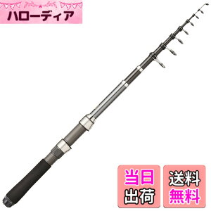 シマノ HOLIDAY PACK 10 270T (ロッド・釣竿) 価格比較 - 価格.com