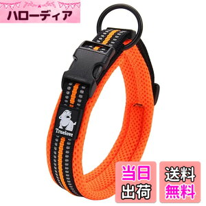 �y���������zcocomall���{�����X ����� ���̎�� ���p�P����� ���^�A���^�A��^���p��� �y�b�g�p�i 3M���ˍޗ� �i�C������ �ʋC�� �e�͐� �\�t�g ���߉\ (M, �I�����W)