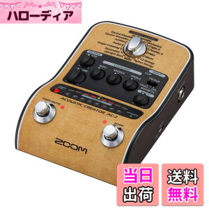 �y���������zZOOM �Y�[�� AC-2 �A�R�[�X�e�B�b�N�M�^�[�p�v���A���v �y�������K�i/3�N�����t�z �s�G�]/�}�O�l�Ή� 16��v���Z�b�g DI�@�\ XLR�o�� �d�r�쓮�Ή� �x�[�W�� AC�A�_�v�^�[�t�� AC�V��
