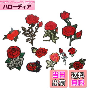 �y���������zDreld 11���� �o�� ���[�Y �A�b�v���P ���b�y�� �A�C�����ڒ� �p�b�` ���� ��|�p �h�J �H�|�i DIY �����p �ٖD �z �\��t��