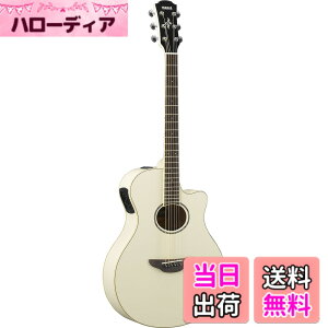 �y���������z���}�n YAMAHA �G���A�R�M�^�[ APX600 VW