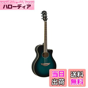 �y���������z���}�n YAMAHA �G���A�R�M�^�[ APX600 OBB �I���G���^���u���[�o�[�X�g(OBB)