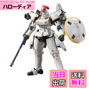 �y���������zRG �V�@����L�K���_��W Endless Waltz �g�[���M�X EW 1/144�X�P�[�� �F�����ς݃v�����f��