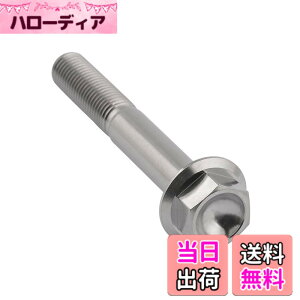 �y���������zDingtai �`�^���t�����W�{���gM10 x20 25 30 35 40 45 55 60 65 70 75 80 100mm 1.25mm �t�����W�˂� (M10x60mm) [���s�A���i]