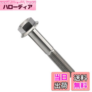 �y���������zDingtai �`�^���t�����W�{���gM10 x20 25 30 35 40 45 55 60 65 70 75 80 100mm 1.25mm �t�����W�˂� (M10x65mm) [���s�A���i]