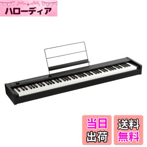 �y���������zKORG(�R���O) �d�q�s�A�m D1 88����/���S��/���{����RH3����/�_���p�[�y�_��/���ʗ��ĕt��/�����A�ŉ\ �u���b�N