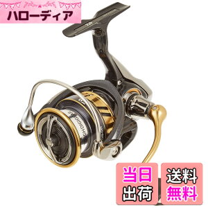 �y���������z�_�C��(DAIWA) �X�s�j���O���[�� 18 ���K���X LT3000-CXH(2018���f��)