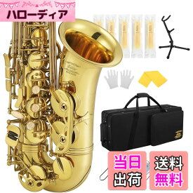 【送料無料】Eastar アルトサックス E Saxophone ゴールドラッカー サクソフォン ケース付き お手入れセット クリスマス(演奏用) AS-3