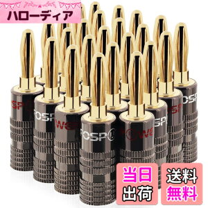 �y���������zFosPower �o�i�i�v���O �R�l�N�^�y�˂����ݎ� / 24k �����b�L/�����V�F���z�\���_�[���X �X�s�[�J�[�P�[�u��/�X�s�[�J�[���C���[/�ǃv���[�g�p (24�{ �Z�b�g / 12 �y�A)