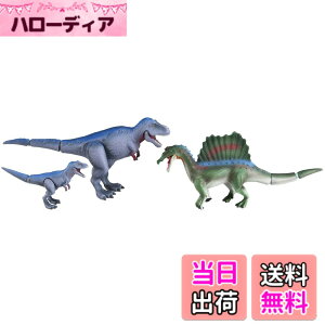 ���i�摜