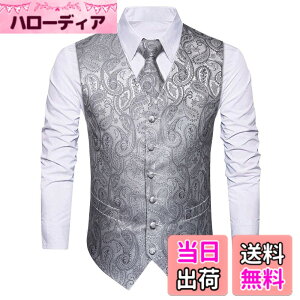 �y���������z[HISDERN] �V���o�[ ������ �����Y �t�H�[�}���x�X�g �r�W�l�X �X�[�c �x�X�g �X���� V�l�b�N �傫���T�C�Y �j�� �畞 L V3-01