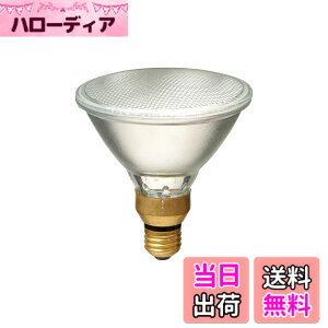 �y���������z�G���p(ELPA) �n���Q���r�[�������v�U��65W EBRF110V65W