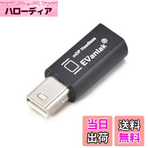 �y���������zEVanlak Mini DisplayPort �w�b�h���X�S�[�X�g�f�B�X�v���C�G�~�����[�^�[ PC 4K DP �_�~�[�v���O�p (�w�b�h���X1080-3840x2160@17hz�Ή�)