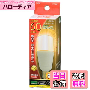 �y���������zLED�d�� T�` E17 60�`���� �d���F LDT6L-G-E17 IG92 06-3739 OHM �I�[���d�@