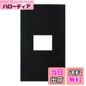 �y���������z�p�i�\�j�b�N(Panasonic) SO-STYLE �v���[�g 1�R�p �}�b�g�u���b�N WNS6001B