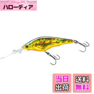 �y���������zDUEL(�f���G��) HARDCORE(�n�[�h�R�A) ���A�[ �V���b�h HARDCORE SHAD 75SF 75mm Weight:11g R1367-HGSN-�S�[���f���V���C�i�[