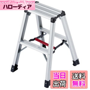 �y���������z���J��H��(Hasegawa) ��p�r�� �r�y 2�i RZ-06c (0.60m) (17754)