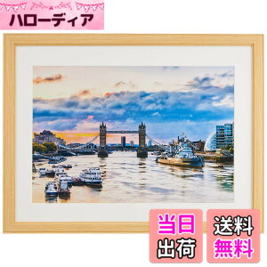 �y���������z�P���R�[(Kenko) �z�� �R�X���X W4�� �ؐ� �O�ʃK���X�g�p �i�`������ MCM-W4-NA