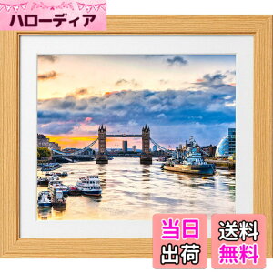 �y���������z�P���R�[(Kenko) �z�� �R�X���X 6�� �ؐ� �O�ʃK���X�g�p �i�`������ MCM-6-NA