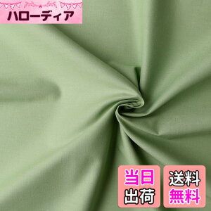 �y���������z���{�R�t�f��(Nippon Chuko) �G�C�e�B�X�N�G�A ���n ���n ��100% �V���[�e�B���O �X���[�L�[�O���[�� �O���[���n �Ж�108cmx4m�ؔ��J�b�g KD4630-308-4M