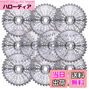 �y���������zSHUZIYU �����@�p�`�b�v�\�[ 230x36P 10���g