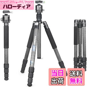 �y���������zINNOREL RT85C �J�[�{�� �O�r �{�[���_�� �L�b�g 184CM �g���x���O�r �v���� �i�b�g���b�N�� �G���x�[�^�[�� �ω׏d 25KG �l�i�r ��r�ώ� �p�C�v�a32mm ���y�� �^���� �o�R ��O �쒹 