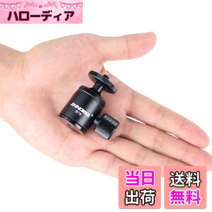 �y���������zINNOREL ���^ ���R�_�� �}�C�N�� �{�[���w�b�h ���~�j 360°��]�� �p�m���}�_�� �R���p�N�g 19MM�{�[���a ��ʌa27MM �ω׏d3KG ���y�� �A���~�� �J���� ���C�g �X�^���h �O�r �X�s�[