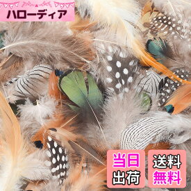【送料無料】Kingsie 天然 羽根 180枚セット 6種類 フェザー 羽 シャワー 結婚式 ウェディング 飾り ドリームキャッチャー 手作り 手芸 帽子 装飾