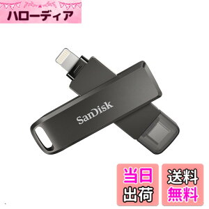 �y���������zSanDisk TYPE-C SDIX70N-256G-GN6NE Lightnig Flash