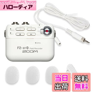 �y���������zZOOM �Y�[�� �����^ �t�B�[���h���R�[�_�[ F2-BT/W 32bit�t���[�g�^���Ή� Bluetooth �����[�g����@�\ ���x���A�}�C�N�t�� �ߕ���@�ނɑ����\ 14���ԋ쓮 �u���C�_�� �C���^�r���[ 