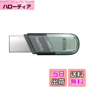 �y���������zSanDisk 256GB iXpand USB Flash Drive Flip SDIX90N-256G �C�O�o�b�P�[�W�i